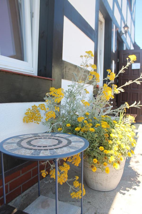 Homestay Flauta Ii Ustka