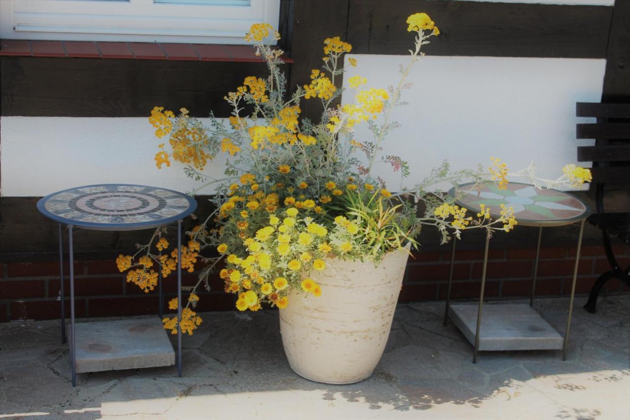 Homestay Flauta Ii *